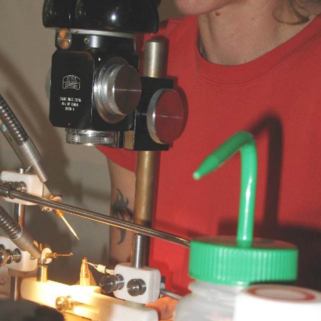 Performing Honey Bee AI Kelly Rausch